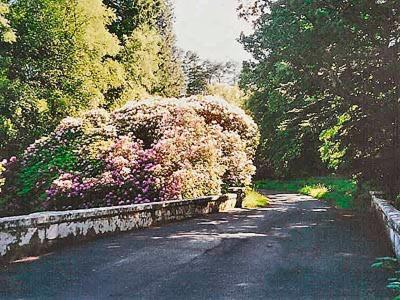 Forget Me Not - Skkz Villa Dalmellington Luaran gambar
